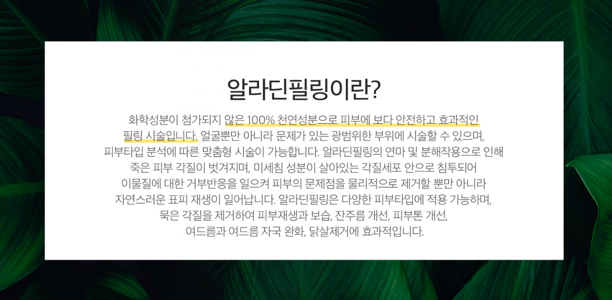 알라딘필링 광주피부과 닥터에버스 알라딘필링 광주피부과 닥터에버스