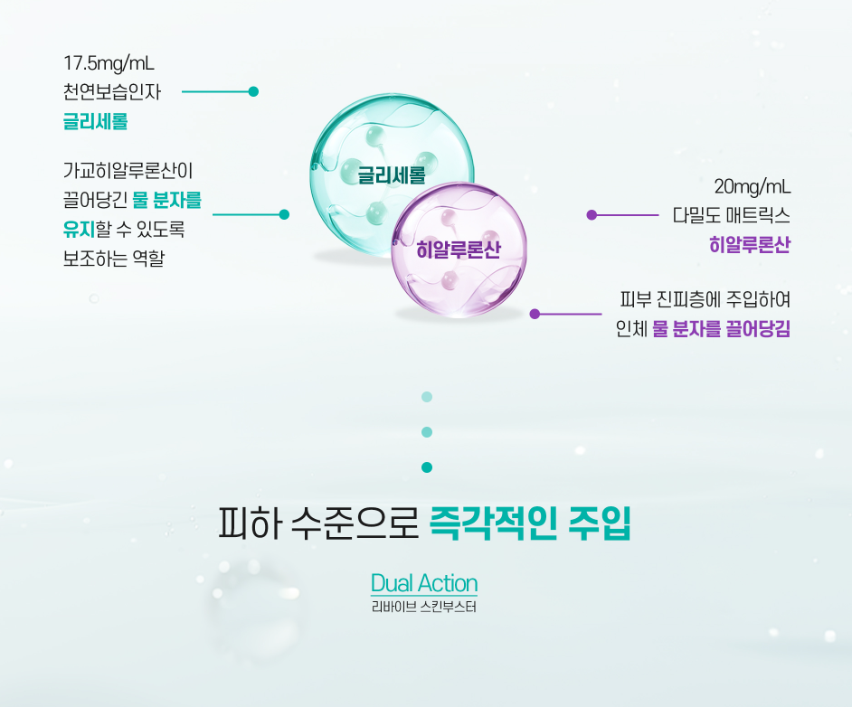 리바이브 광주피부과 닥터에버스 리바이브 광주피부과 닥터에버스